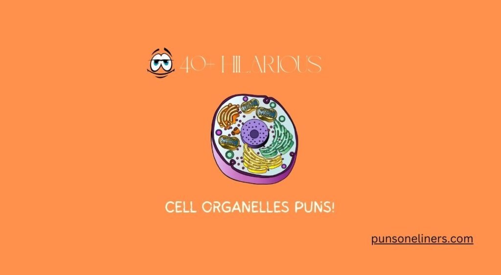 Cell organelles puns