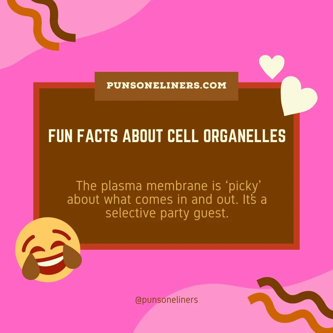 Fun Facts about Cell Organelles