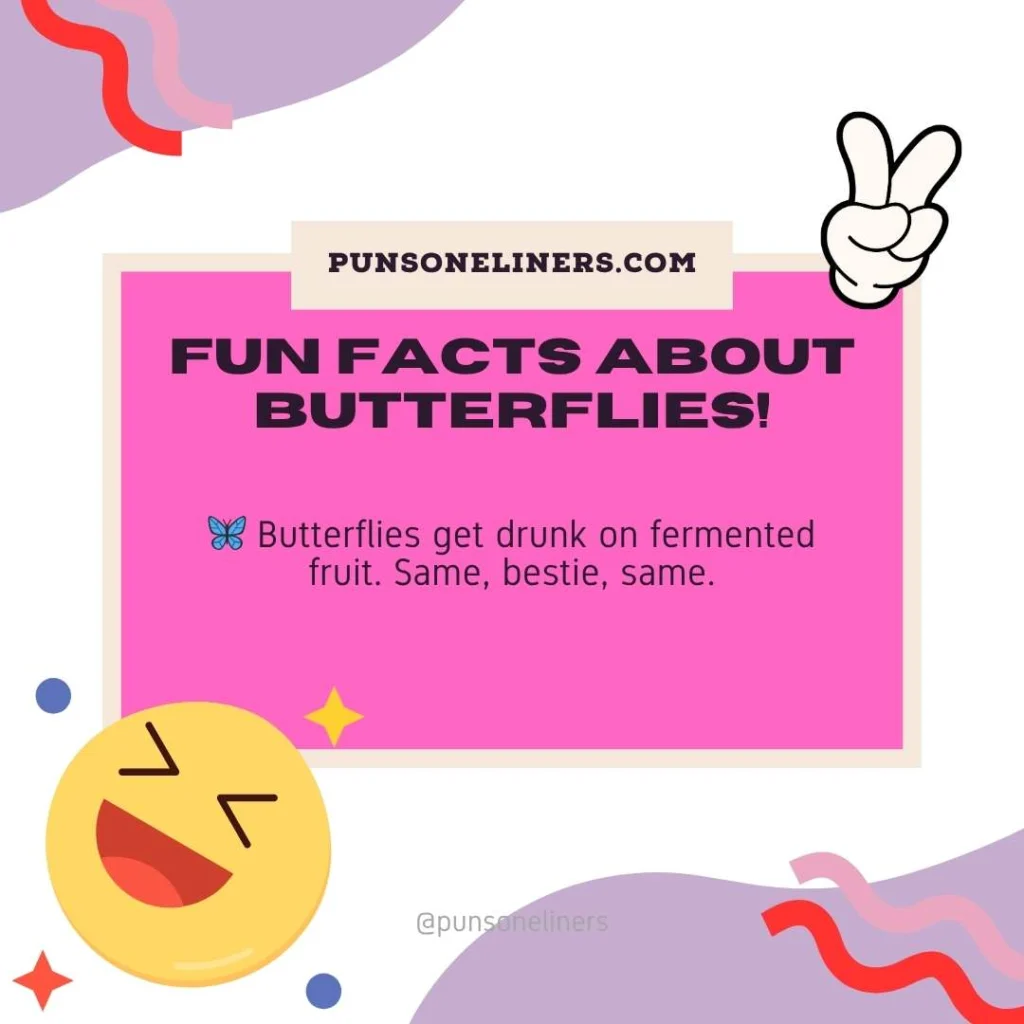 Fun Facts About Butterflies!