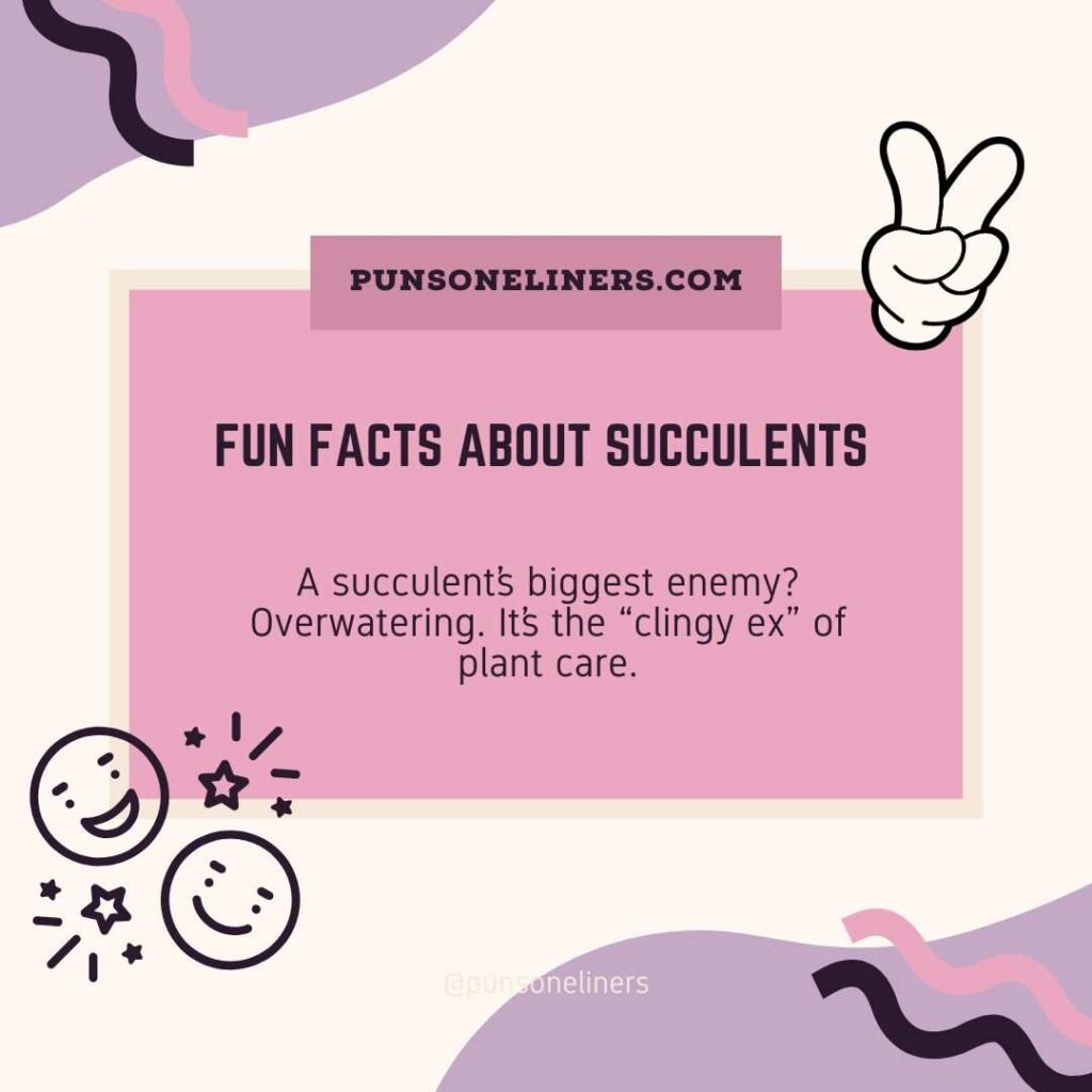 Fun Facts About Succulents 