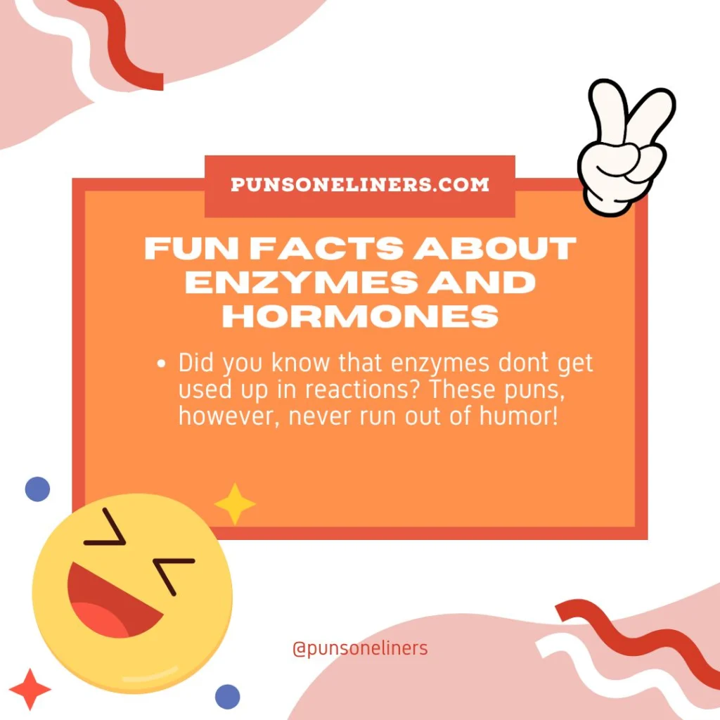 Fun Facts About Enzymes and Hormones