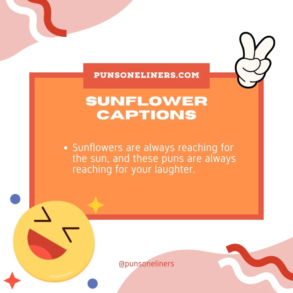 Sunflower Captions